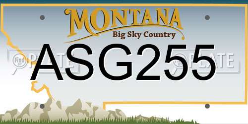 ASG255 Montana License Plate
