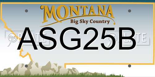 ASG25B Montana License Plate