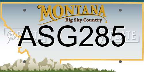 ASG285 Montana License Plate
