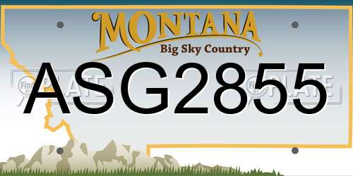 ASG2855 Montana License Plate
