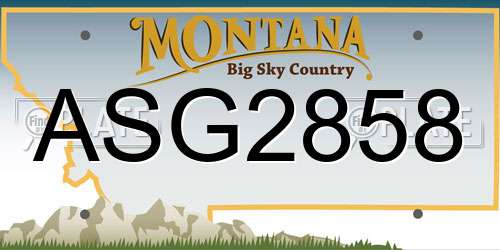 ASG2858 Montana License Plate