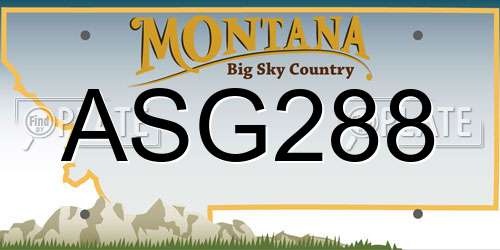 ASG288 Montana License Plate
