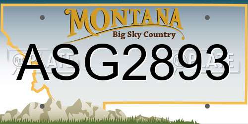 ASG2893 Montana License Plate