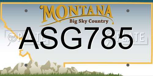 ASG785 Montana License Plate