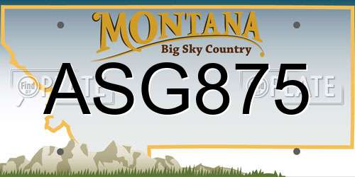 ASG875 Montana License Plate