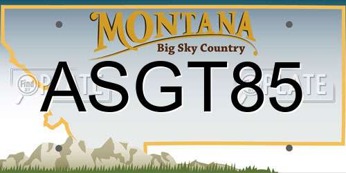 ASGT85 Montana License Plate