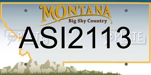 ASI2113 Montana License Plate