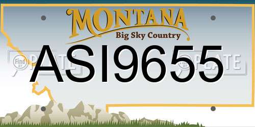ASI9655 Montana License Plate