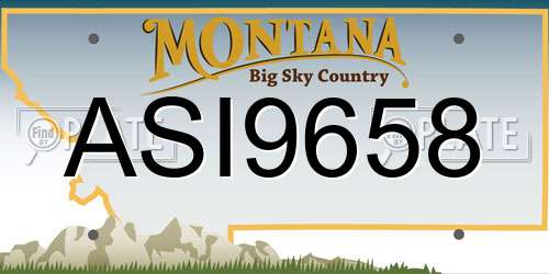 ASI9658 Montana License Plate