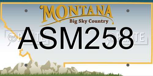 ASM258 Montana License Plate