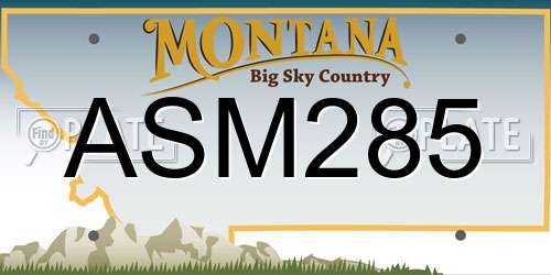 ASM285 Montana License Plate