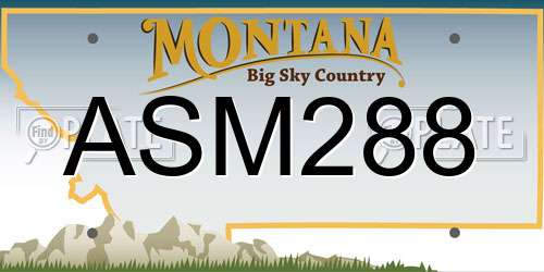 ASM288 Montana License Plate
