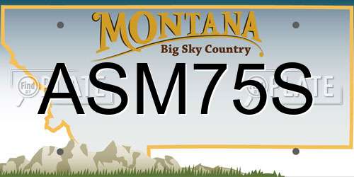 ASM75S Montana License Plate