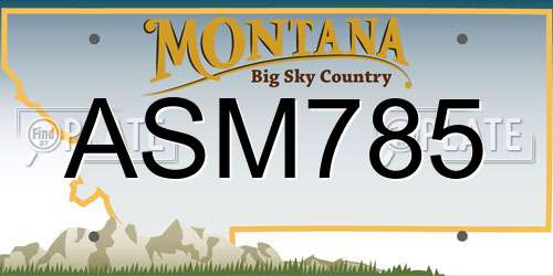 ASM785 Montana License Plate