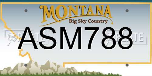 ASM788 Montana License Plate