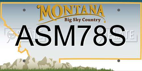 ASM78S Montana License Plate