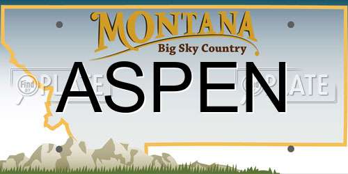 ASPEN Montana License Plate
