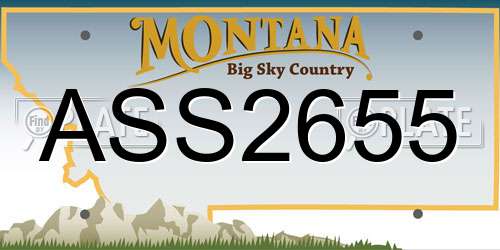ASS2655 Montana License Plate
