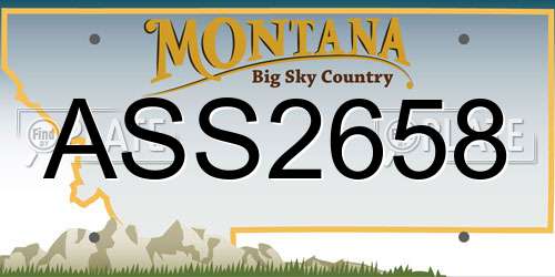 ASS2658 Montana License Plate