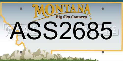 ASS2685 Montana License Plate