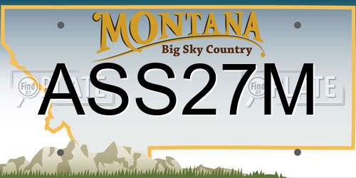 ASS27M Montana License Plate