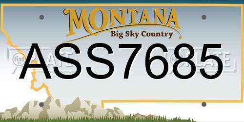 ASS7685 Montana License Plate