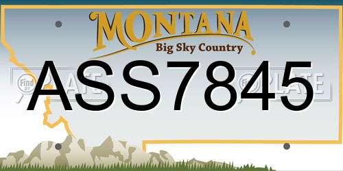 ASS7845 Montana License Plate