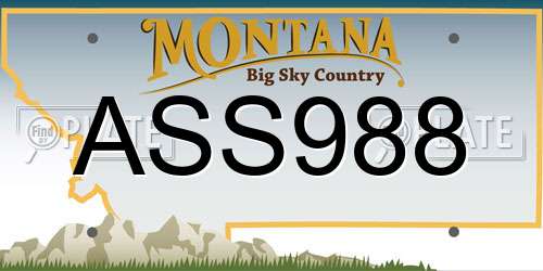 ASS988 Montana License Plate