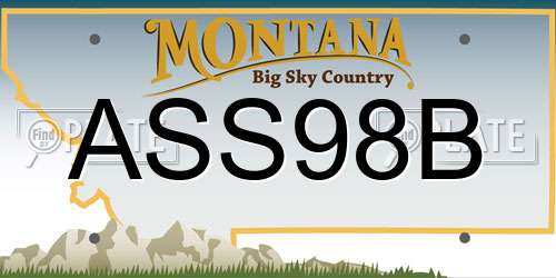 ASS98B Montana License Plate