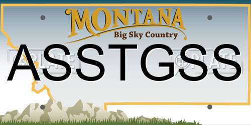 ASSTGSS Montana License Plate