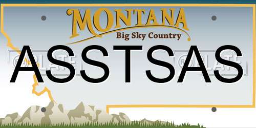 ASSTSAS Montana License Plate
