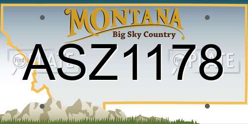 ASZ1178 Montana License Plate