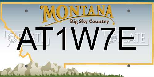 AT1W7E Montana License Plate