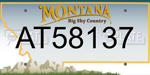 AT58137 Montana License Plate