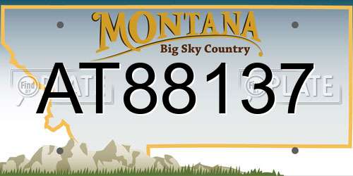 AT88137 Montana License Plate