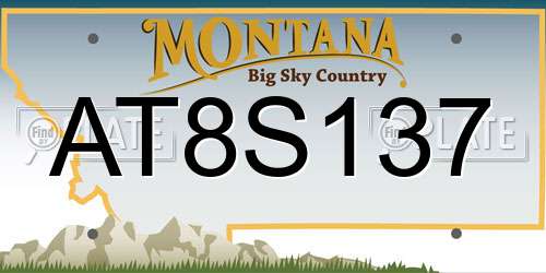 AT8S137 Montana License Plate