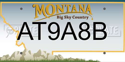 AT9A8B Montana License Plate