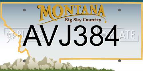 AVJ384 Montana License Plate