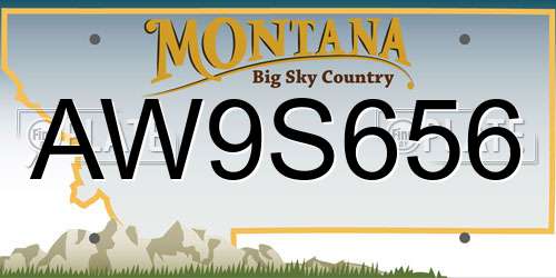 AW9S656 Montana License Plate