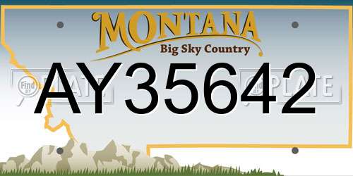 AY35642 Montana License Plate
