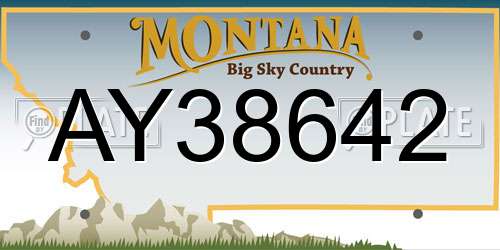 AY38642 Montana License Plate