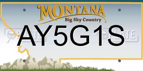AY5G1S Montana License Plate
