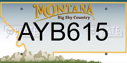 AYB615 Montana License Plate