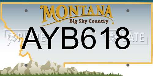 AYB618 Montana License Plate