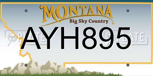 AYH895 Montana License Plate