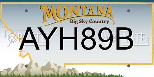AYH89B Montana License Plate