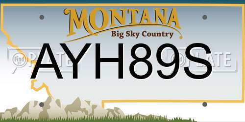 AYH89S Montana License Plate