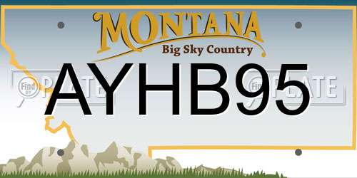 AYHB95 Montana License Plate