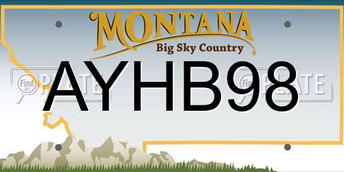 AYHB98 Montana License Plate