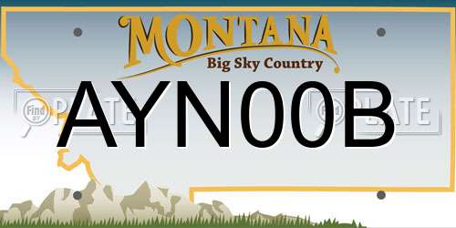 AYN00B Montana License Plate
